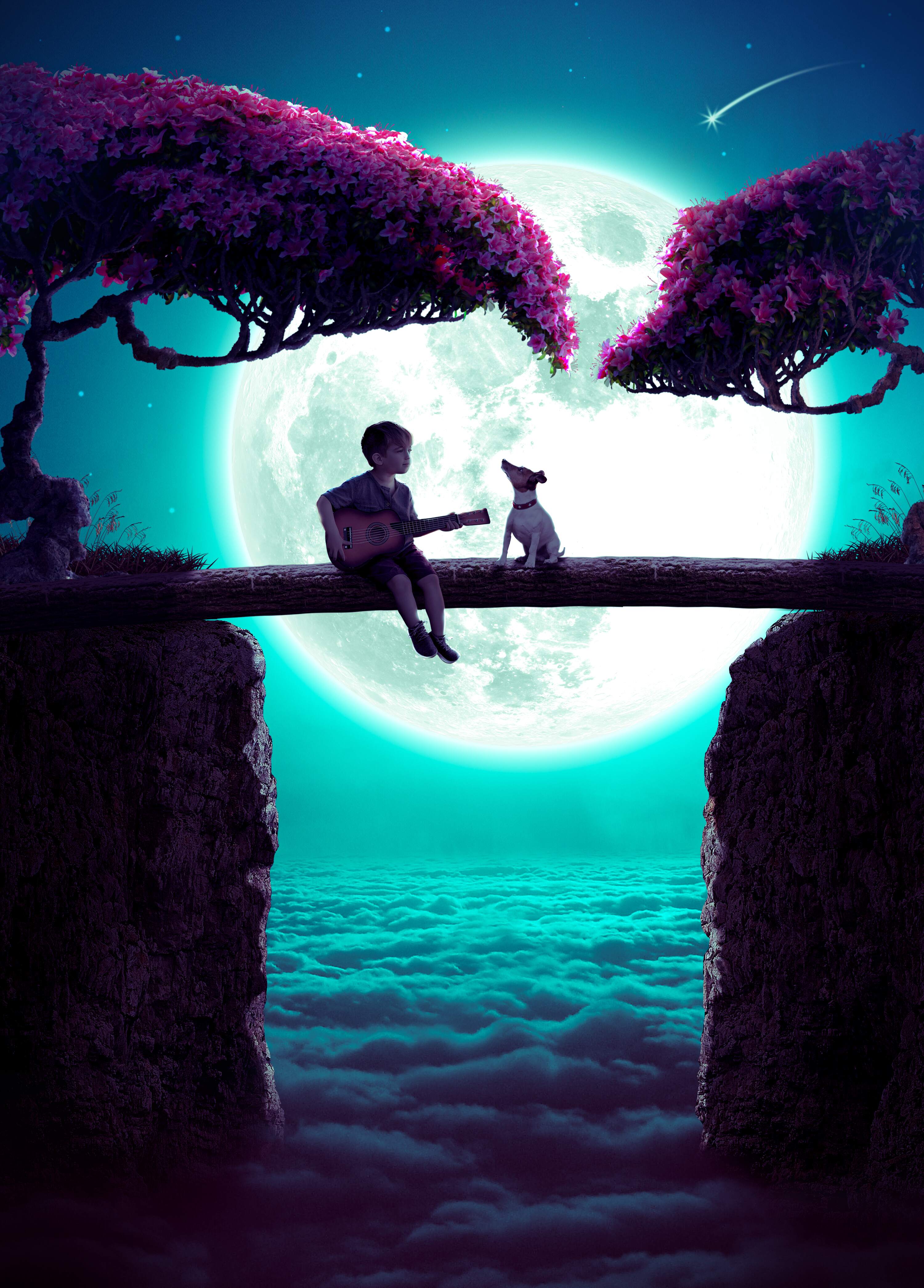 raj-manipulation